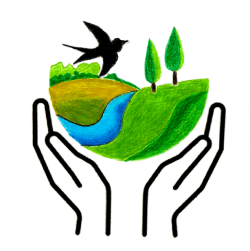 Folge uns auf Instagram